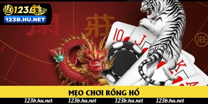 Mẹo Chơi Rồng Hổ - 4 Mẹo Tăng Cơ Hội Thắng Cực Nhanh Cho Bạn